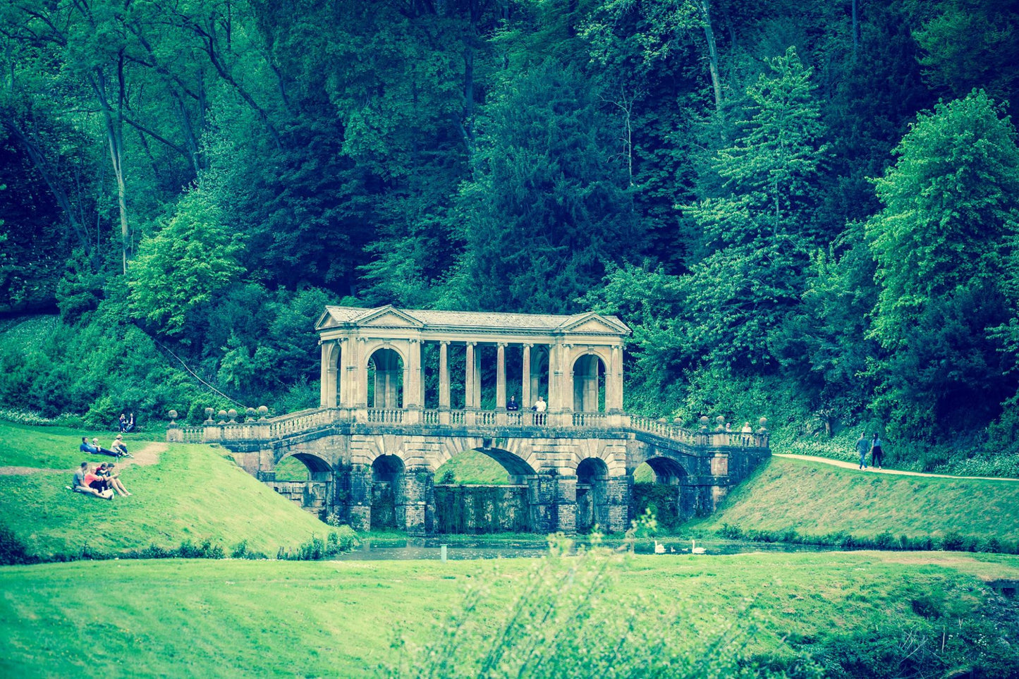 UPGRADE to UPS shipping - US & Canada customers only