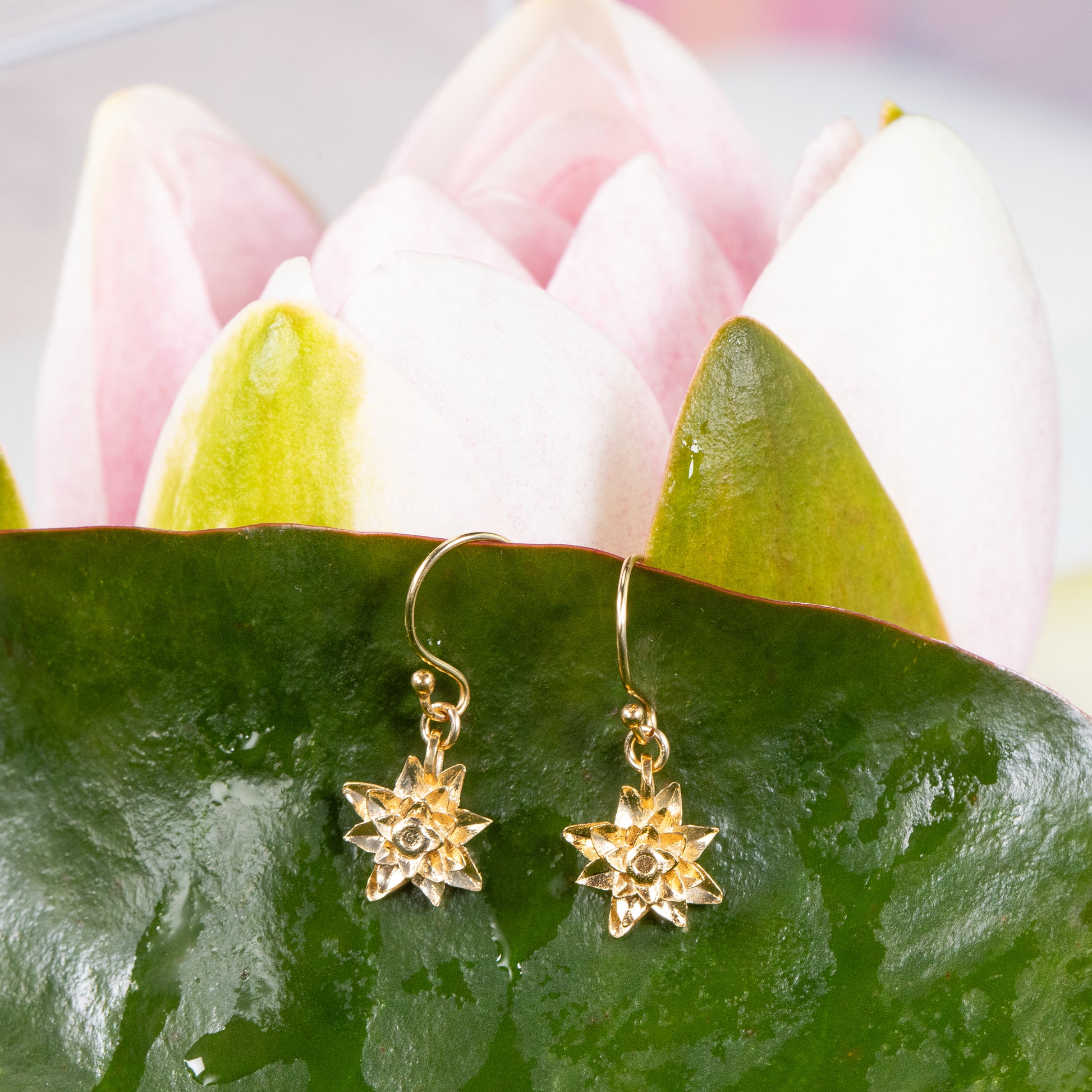 lily flower earrings Waterlily Flower Earrings - Energy - 9kt Gold – Honey Willow