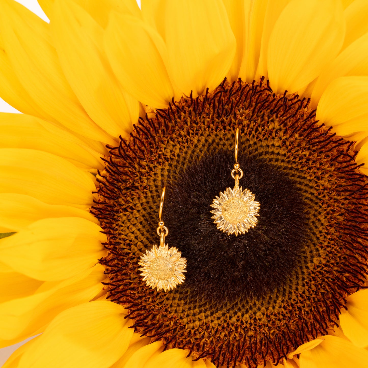 sunflower earrings