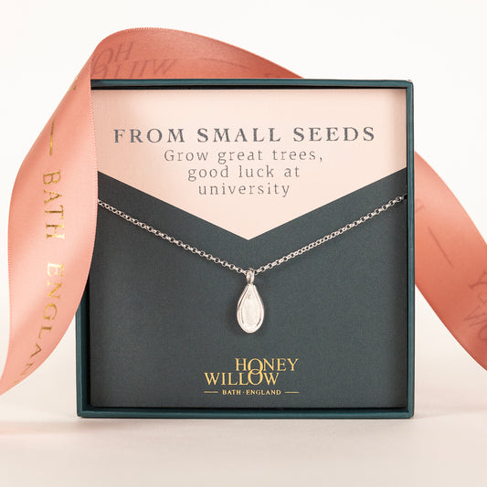 Good Luck At University Gift - Silver Seed Necklace