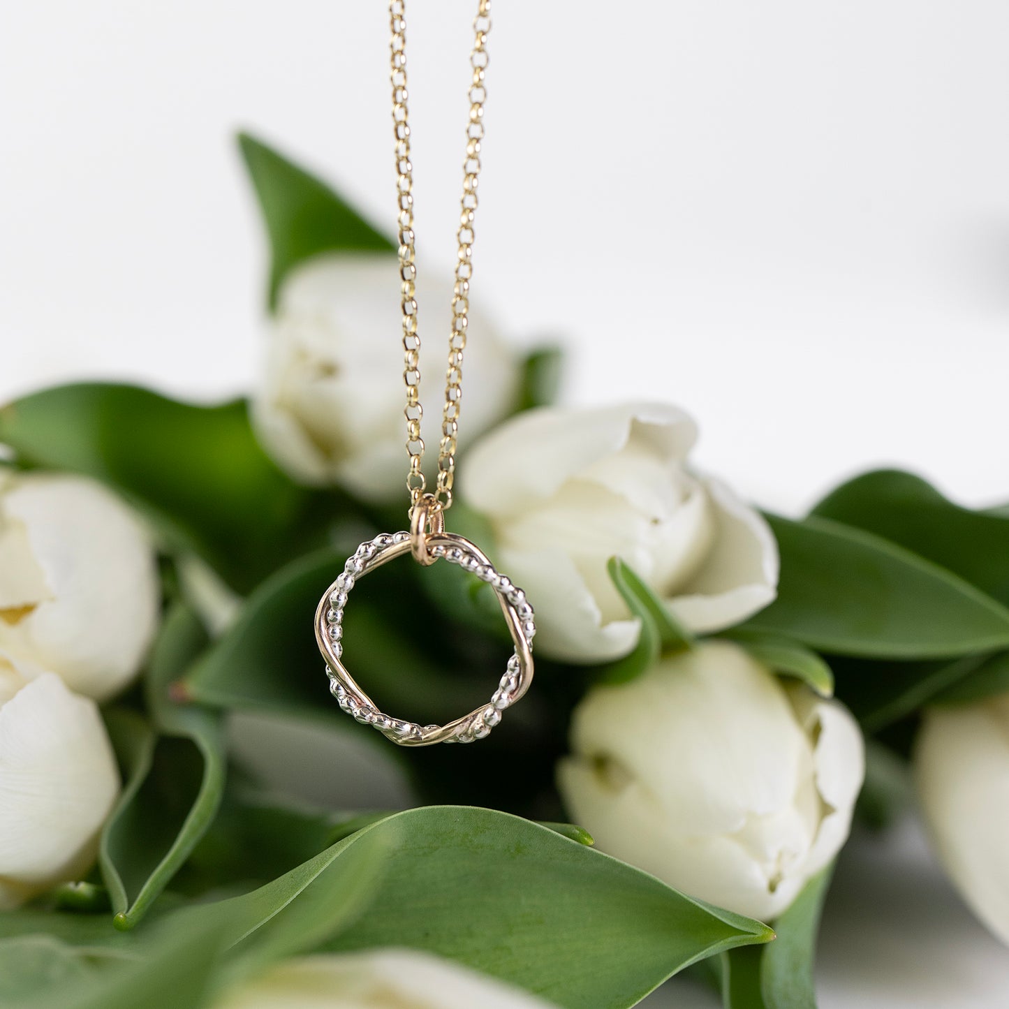 Entwined Halo Necklace - Linked for a Lifetime - Silver & 9kt Gold