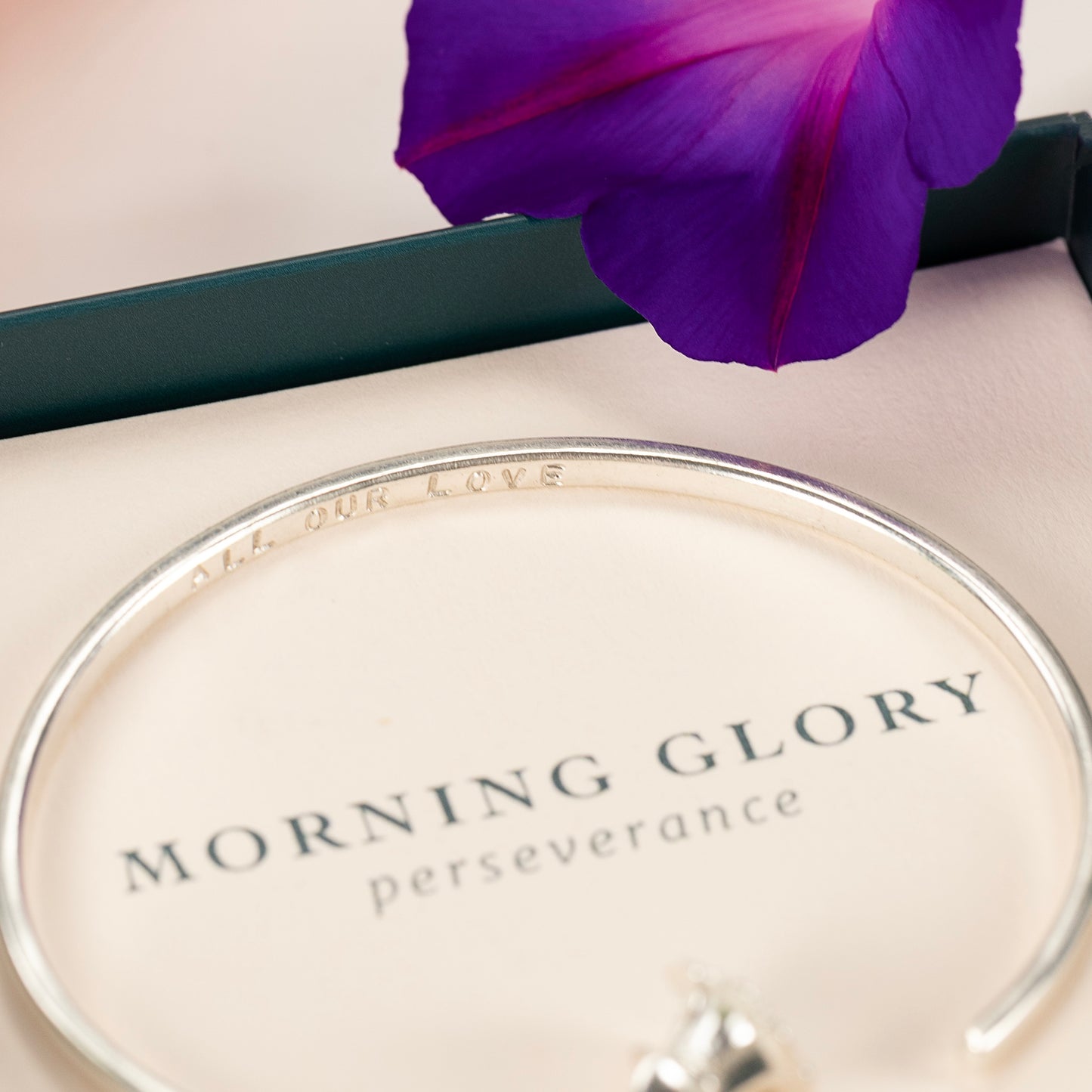 Personalised Morning Glory Torc Bangle - Perseverance - Silver