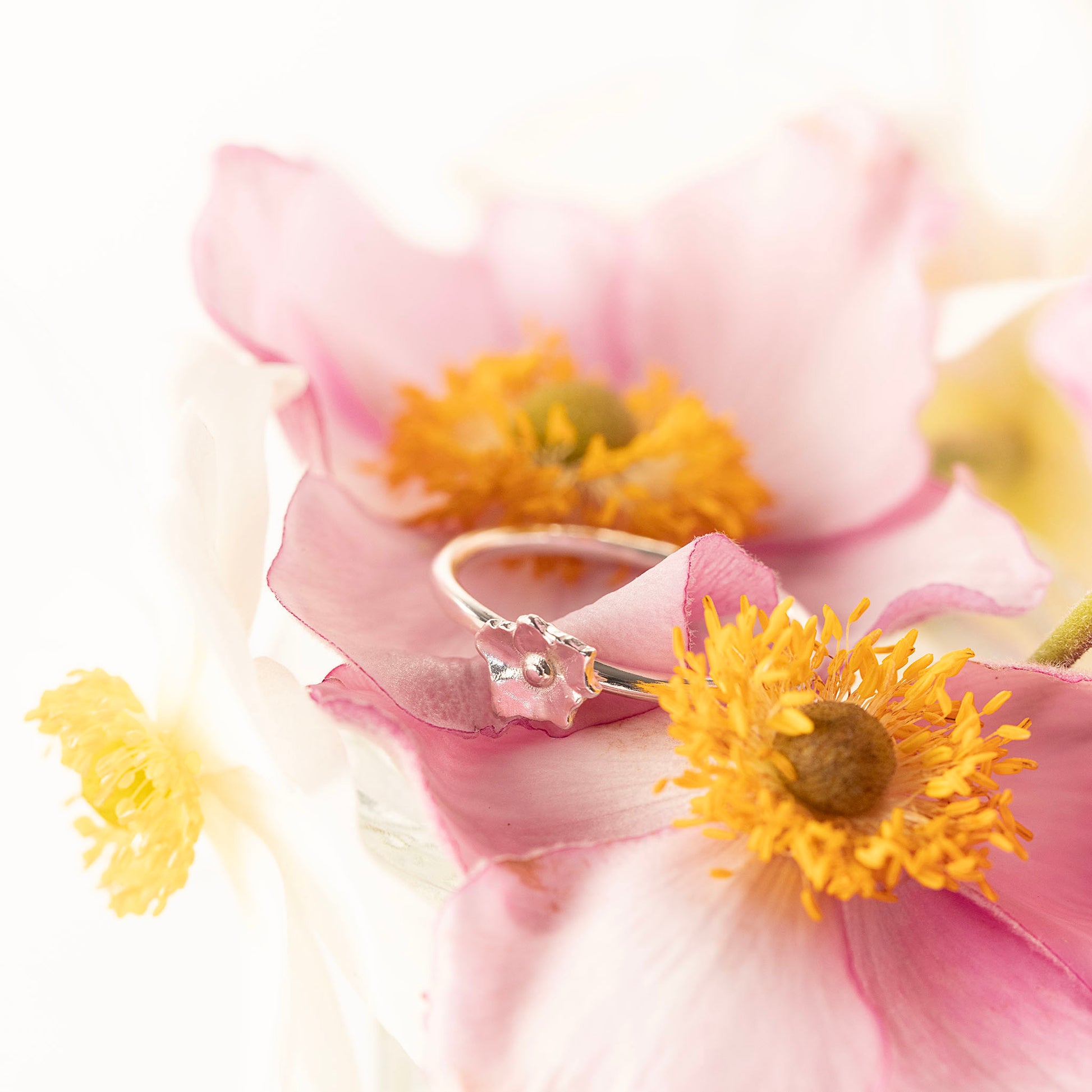 Windflower Ring - Unfading Love - Silver