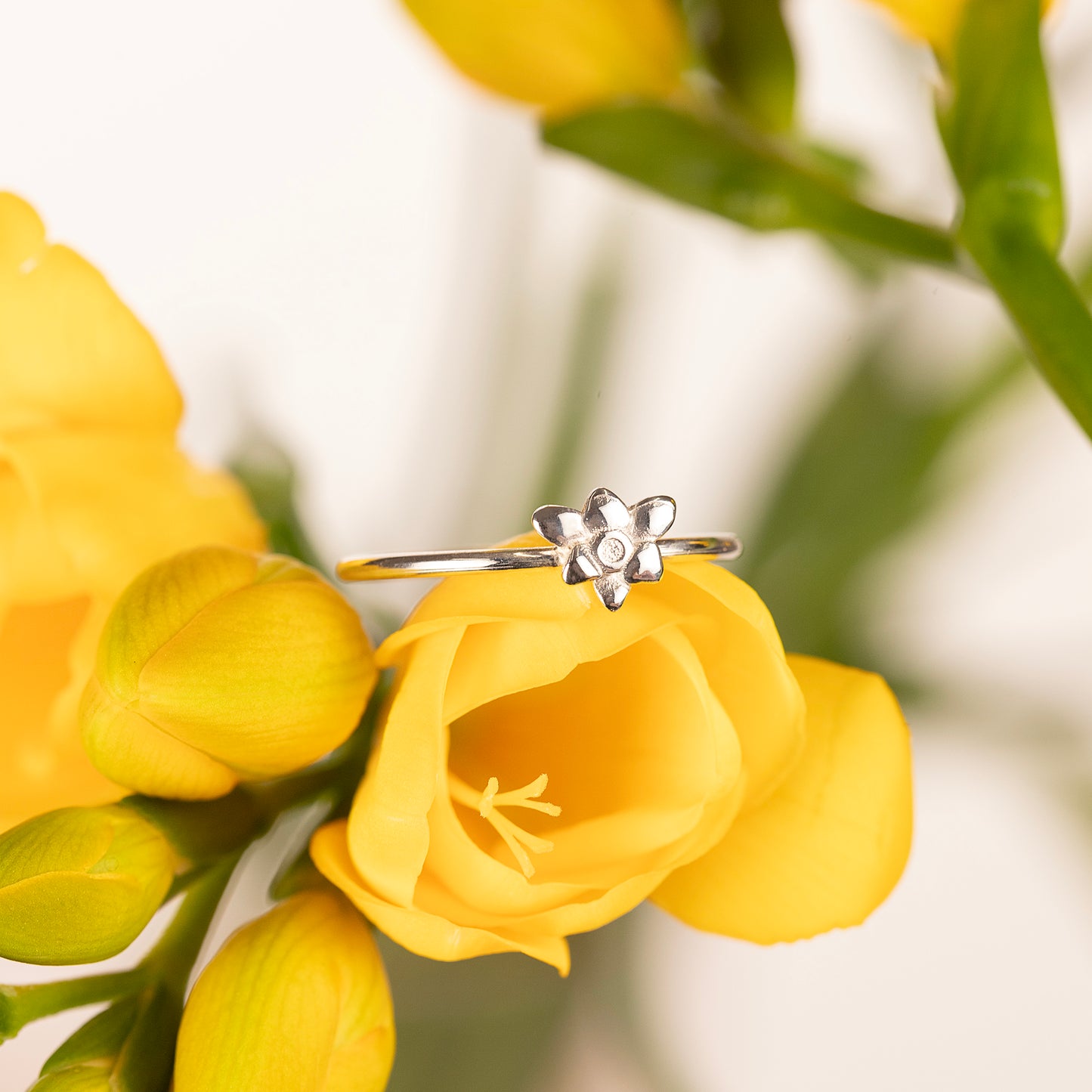 Freesia Ring - Independence - Silver