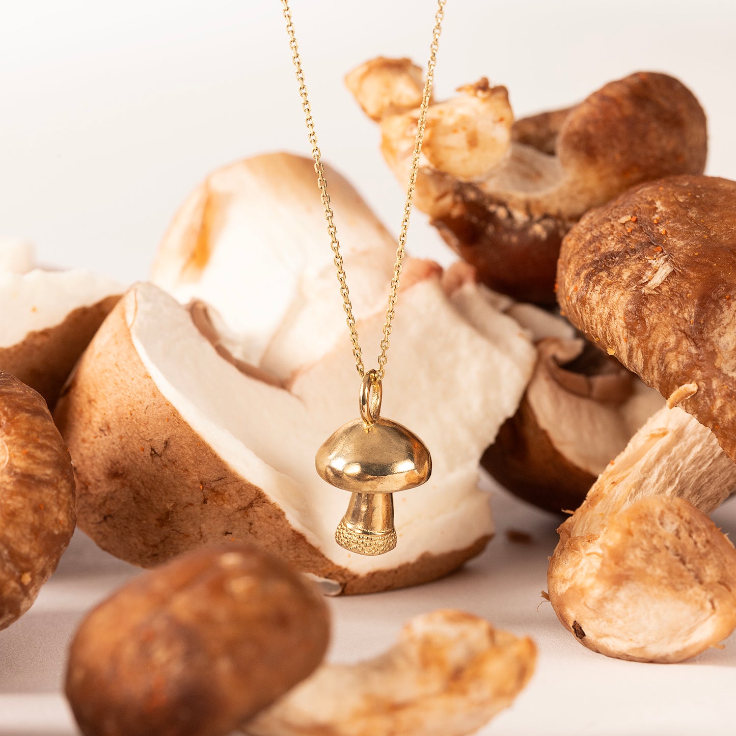 Mushroom Necklace - Growth, Regeneration & Enlightenment - 9kt Gold