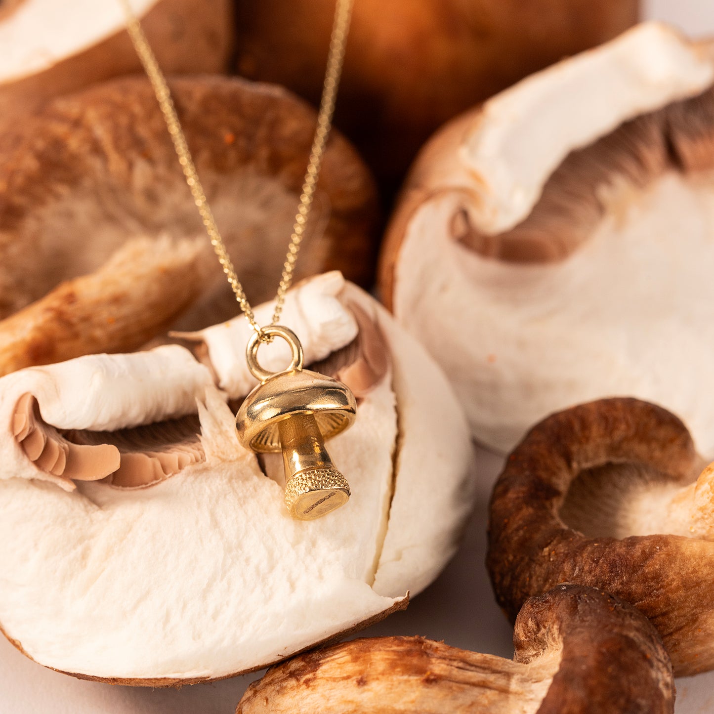 Mushroom Necklace - Growth, Regeneration & Enlightenment - 9kt Gold