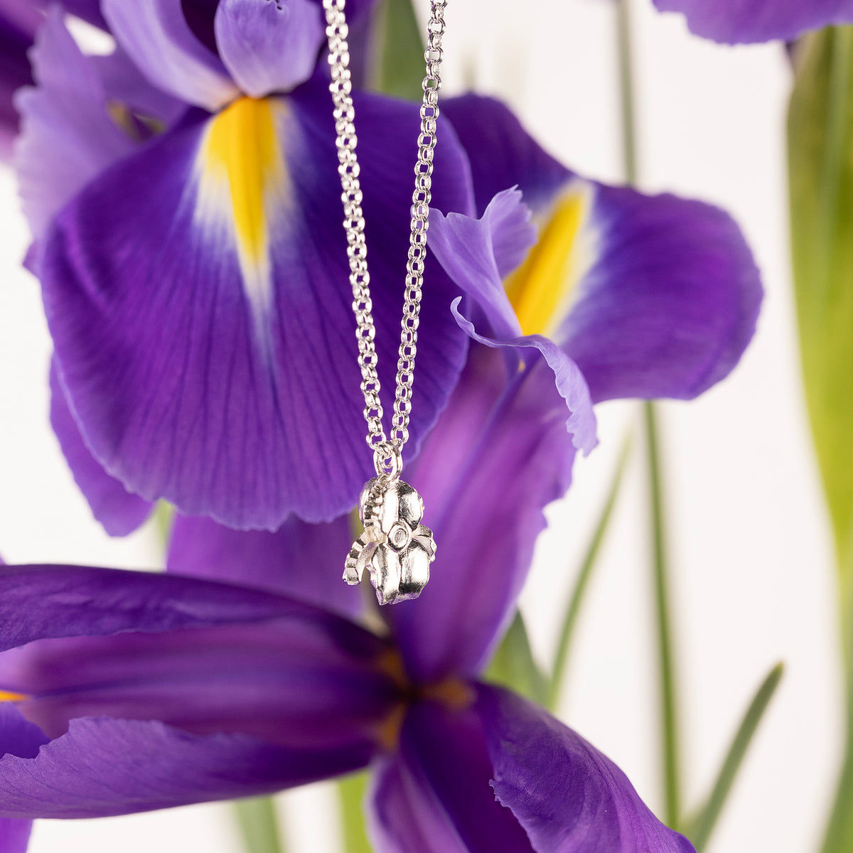 February Birth Flower Necklace - Iris - Silver