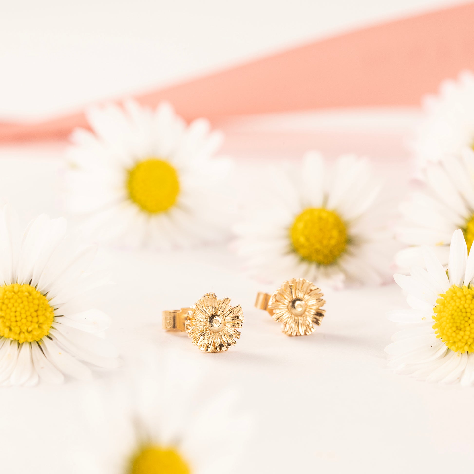 April Birth Flower Earrings - Daisy Flower Studs - 9kt Gold