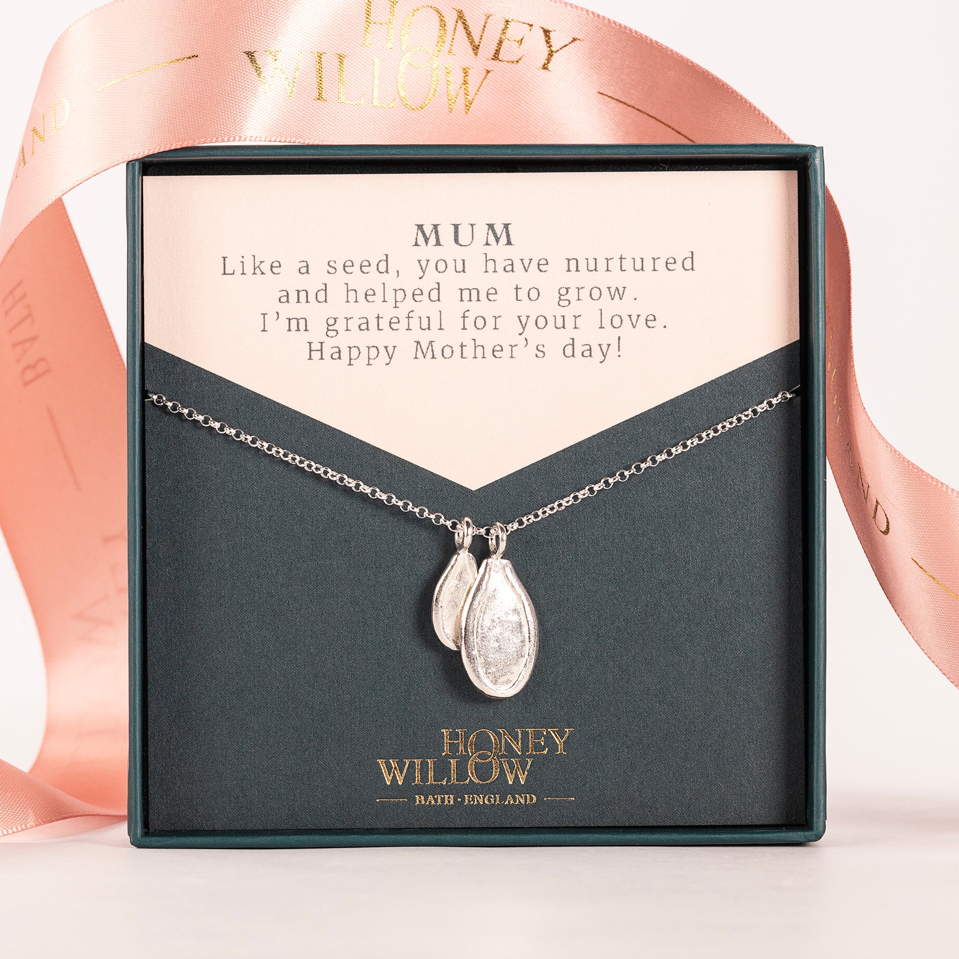 Gift for Mum - Double Seed Necklace - Silver