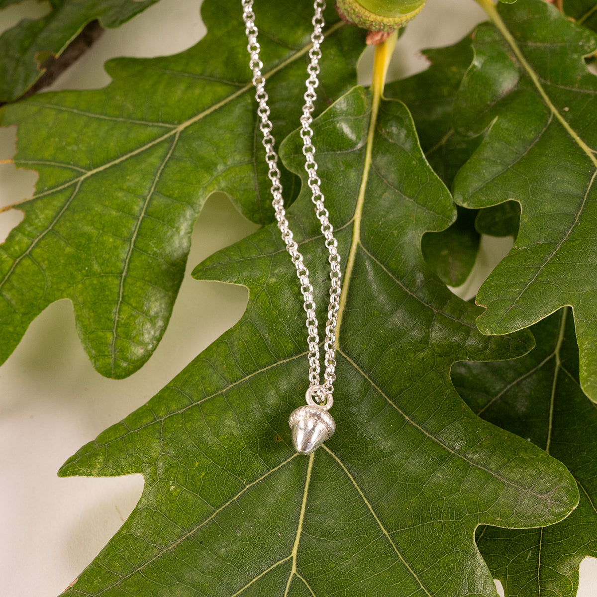 Acorn Necklace - Potential, Growth & Strength - Silver