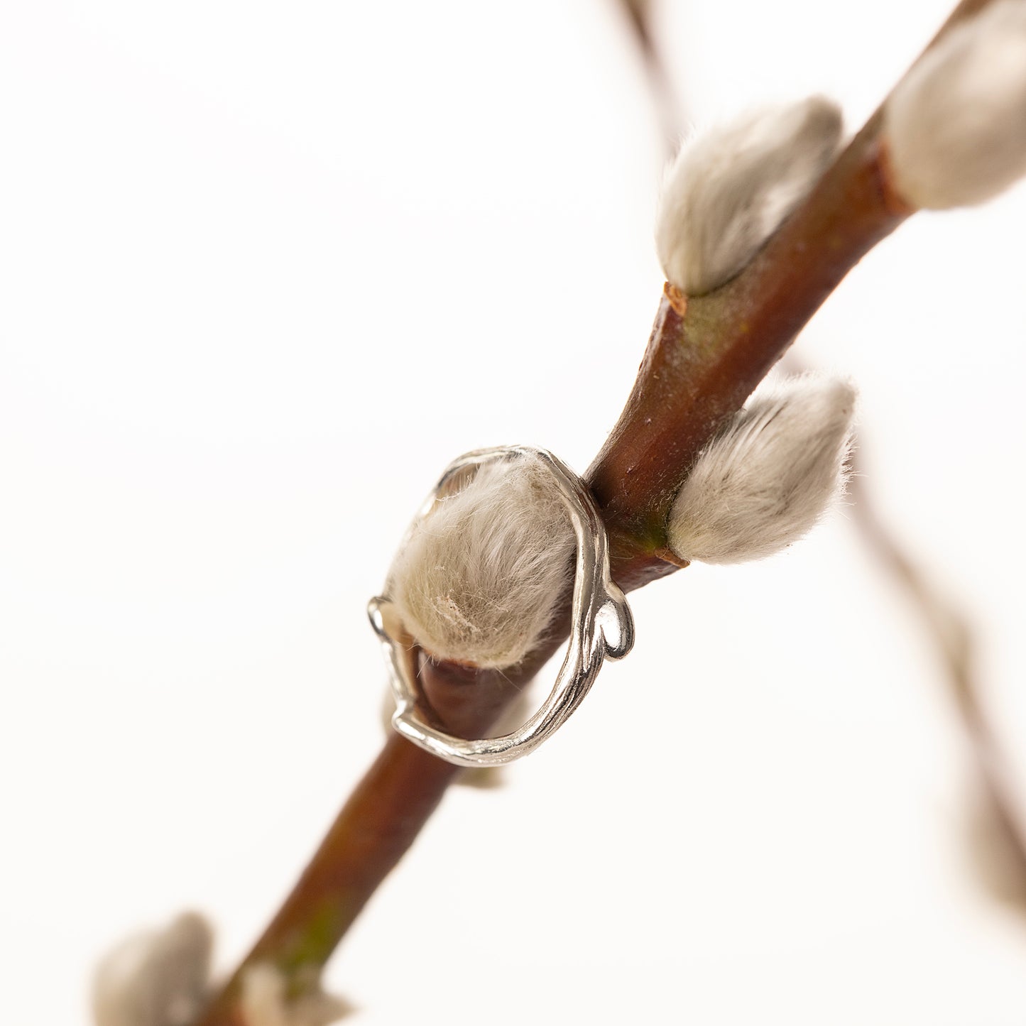 Willow Ring - Protection - Silver