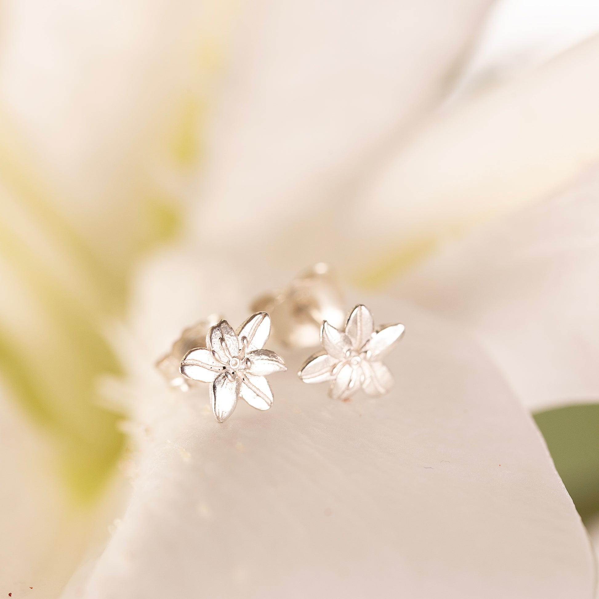 Lily Stud Earrings - Devotion - Silver