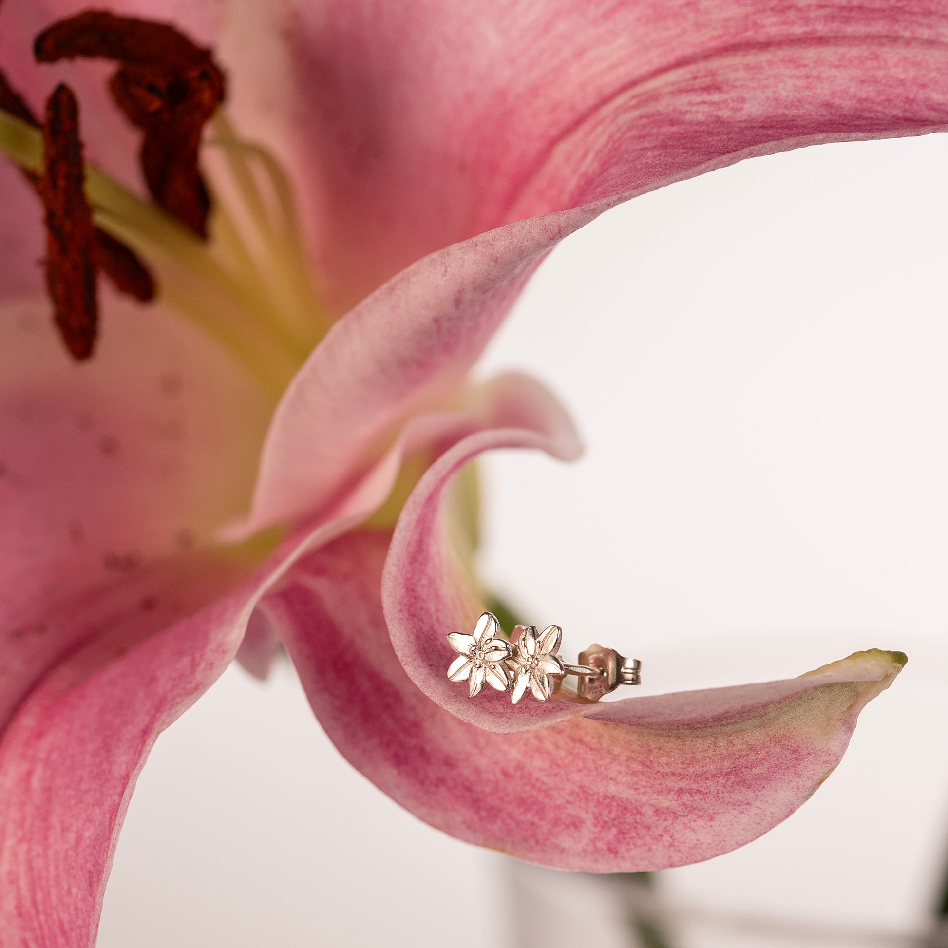 Lily Stud Earrings - Devotion - Silver