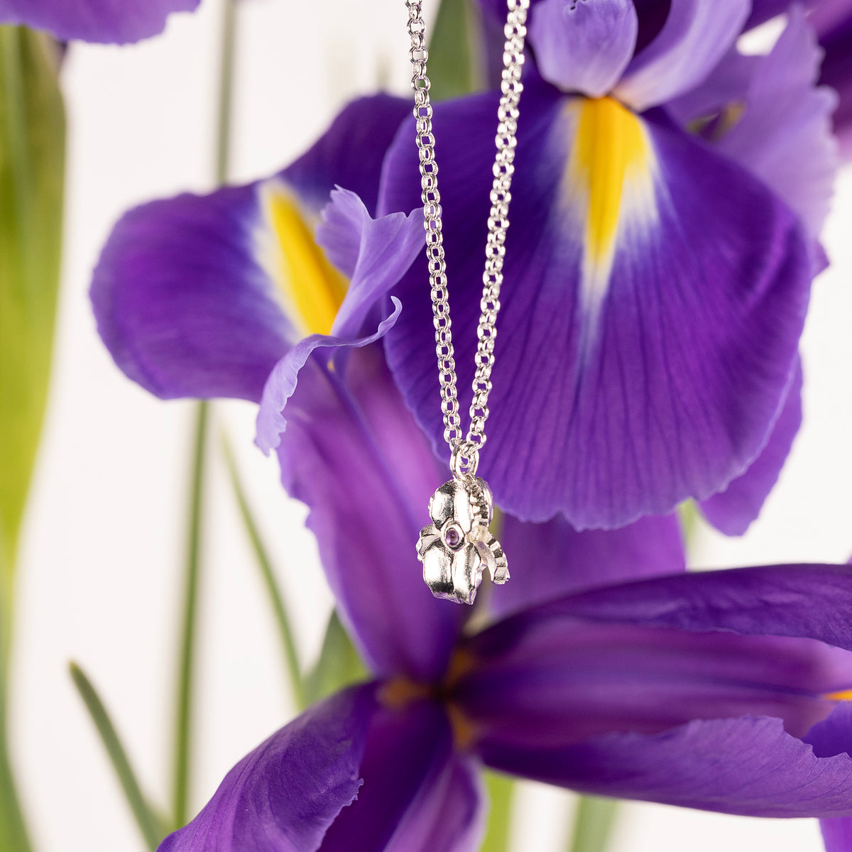 February Birth Flower & Birthstone Necklace - Iris & Amethyst - Silver
