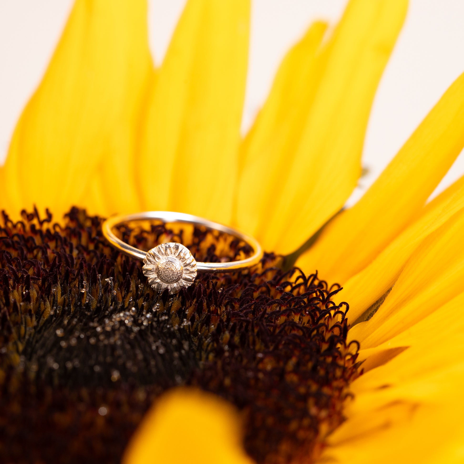 Sunflower Ring - August Birth Flower - Silver