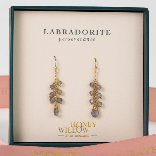 Labradorite Earrings - Perseverance