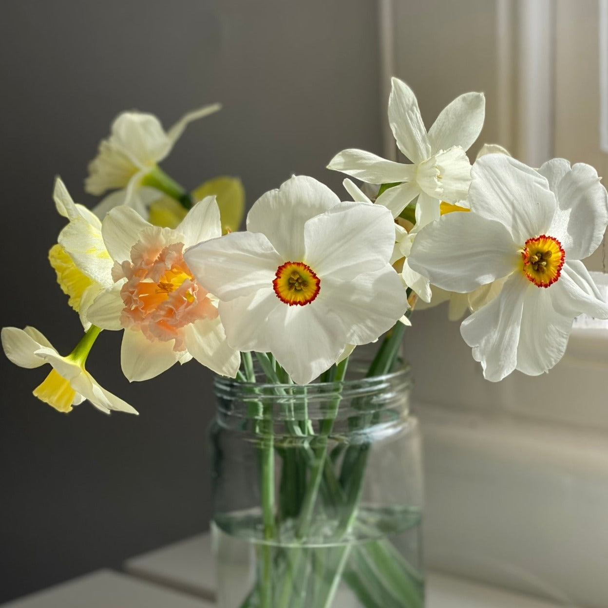 December Birth Flower Stud Earrings - Daffodil - 9kt Gold