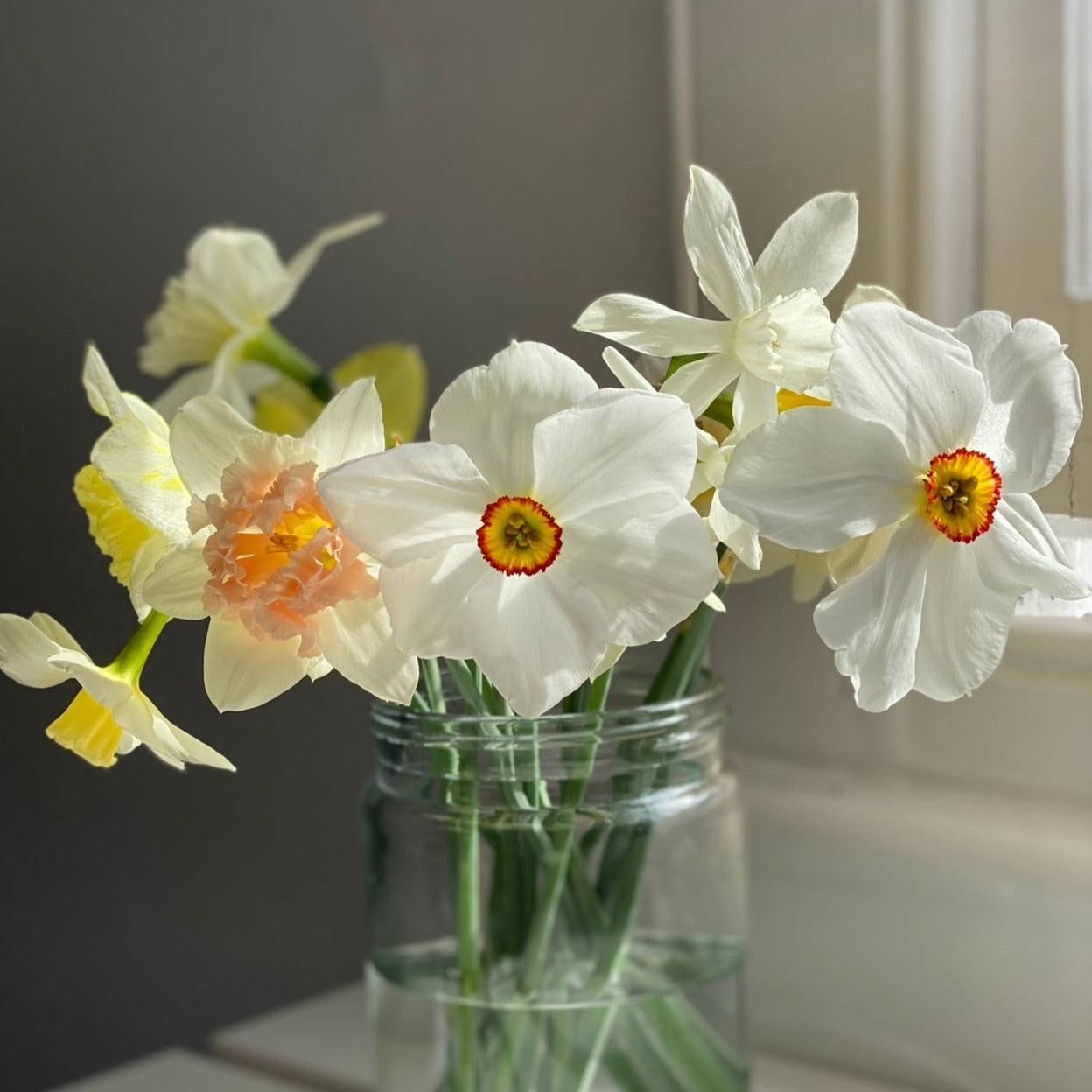 December Birth Flower Necklace - Daffodil - 9kt Gold