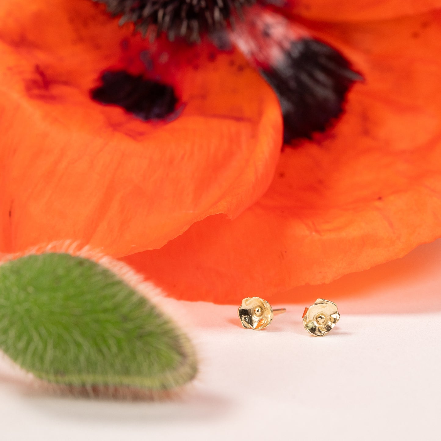 poppy studs