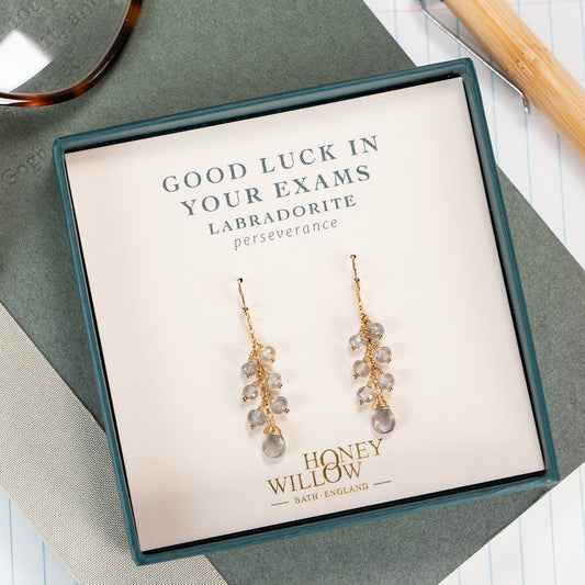Good Luck For Exams Gift - Labradorite Earrings - Perseverance - Silver & Gold
