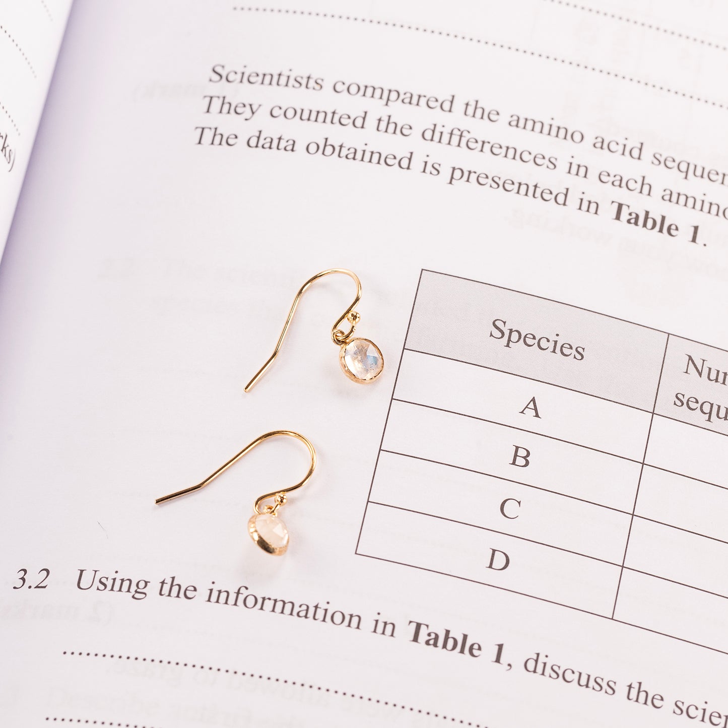Good Luck Exams Gift - Moonstone Drop Earrings - Silver & Gold