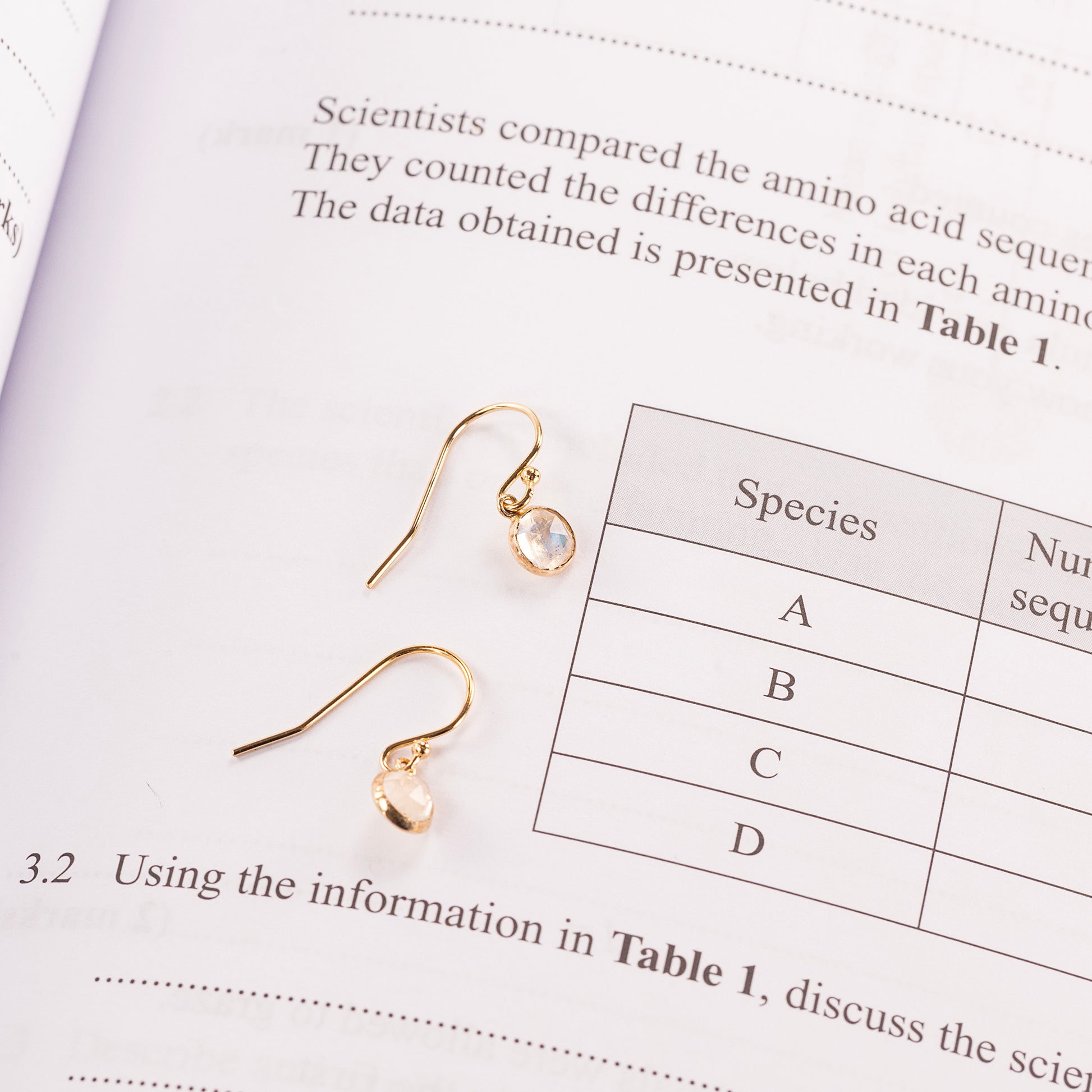 Good Luck Exams Gift - Moonstone Drop Earrings - Silver & Gold