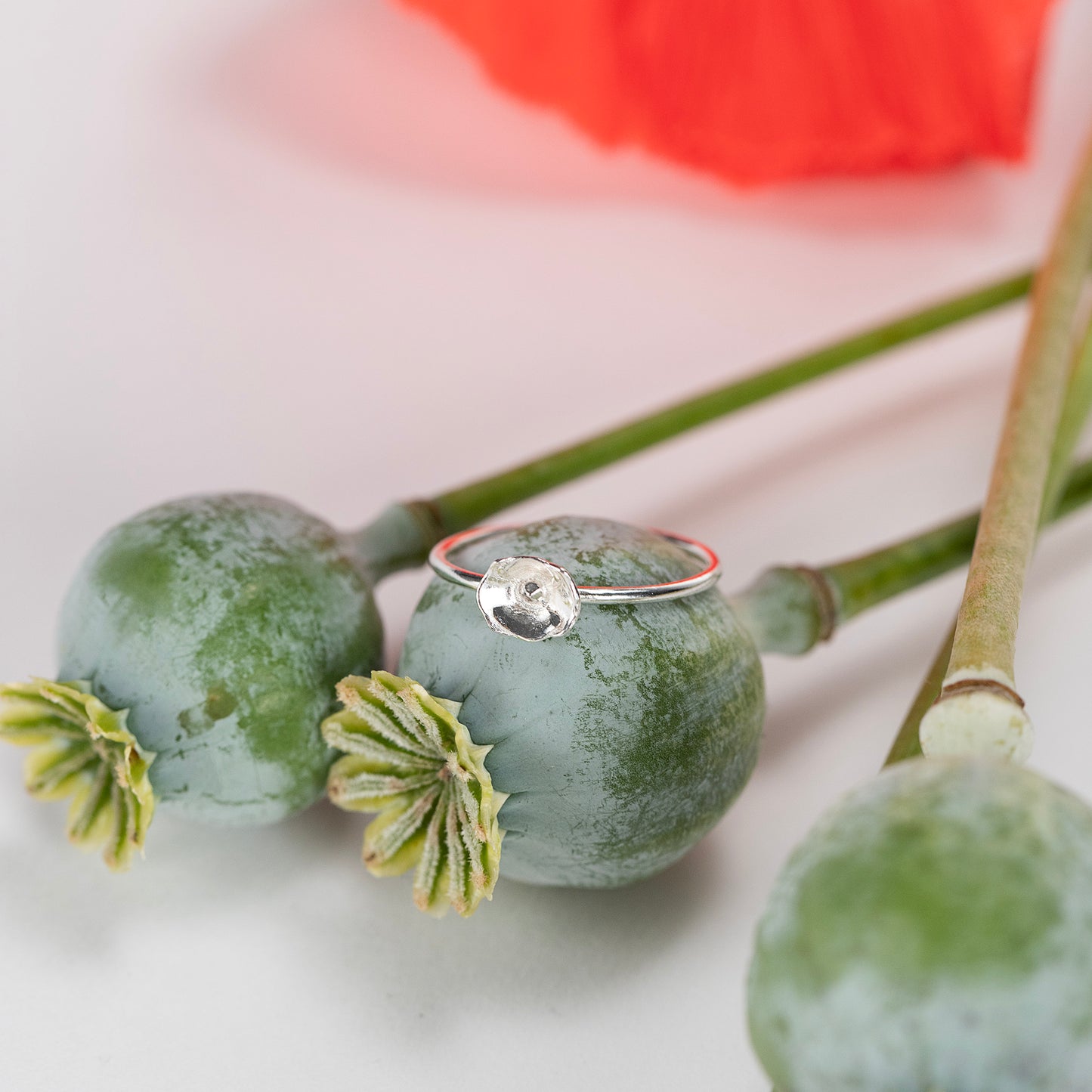 poppy ring