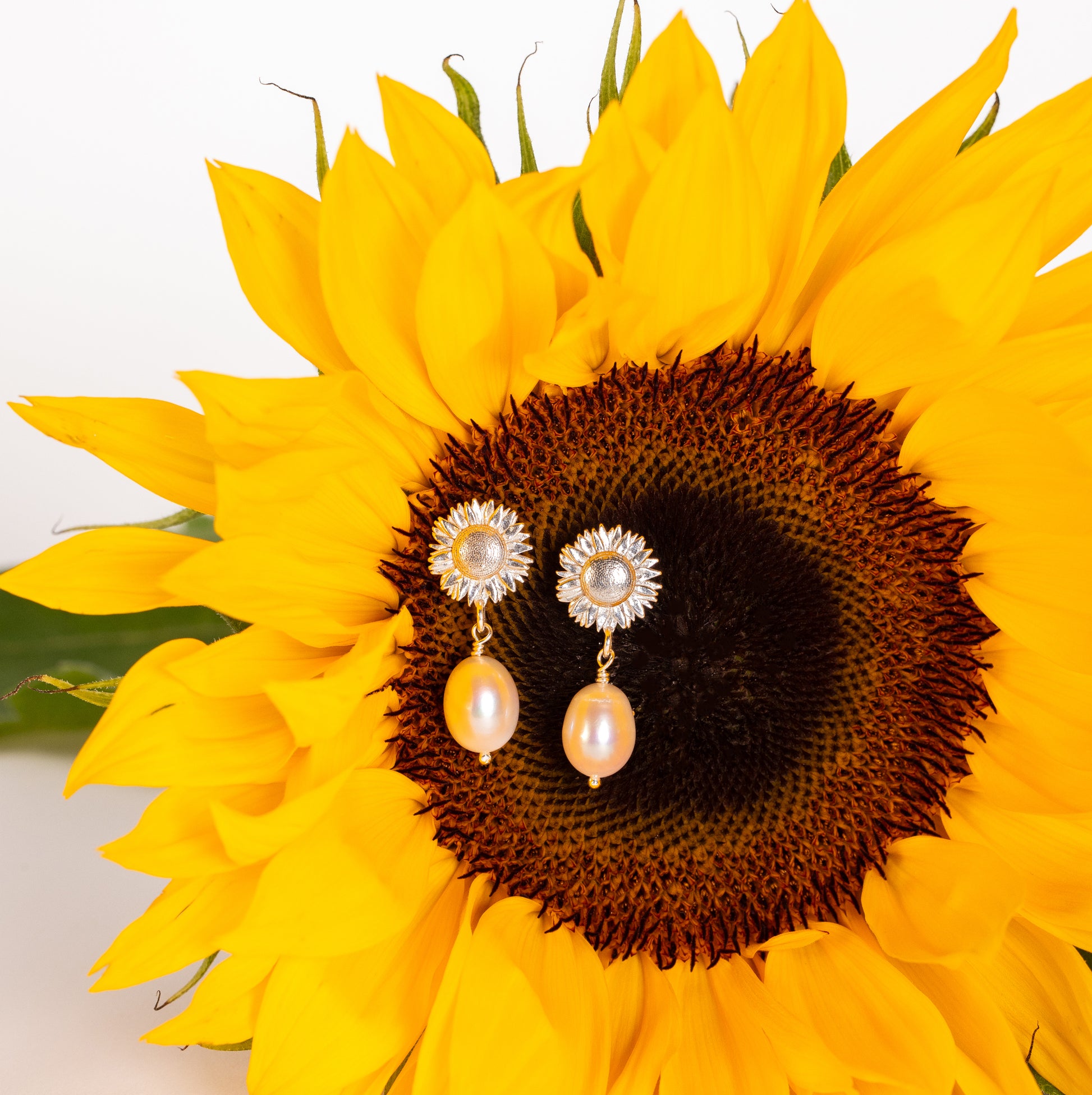 sunflower pearl earrings