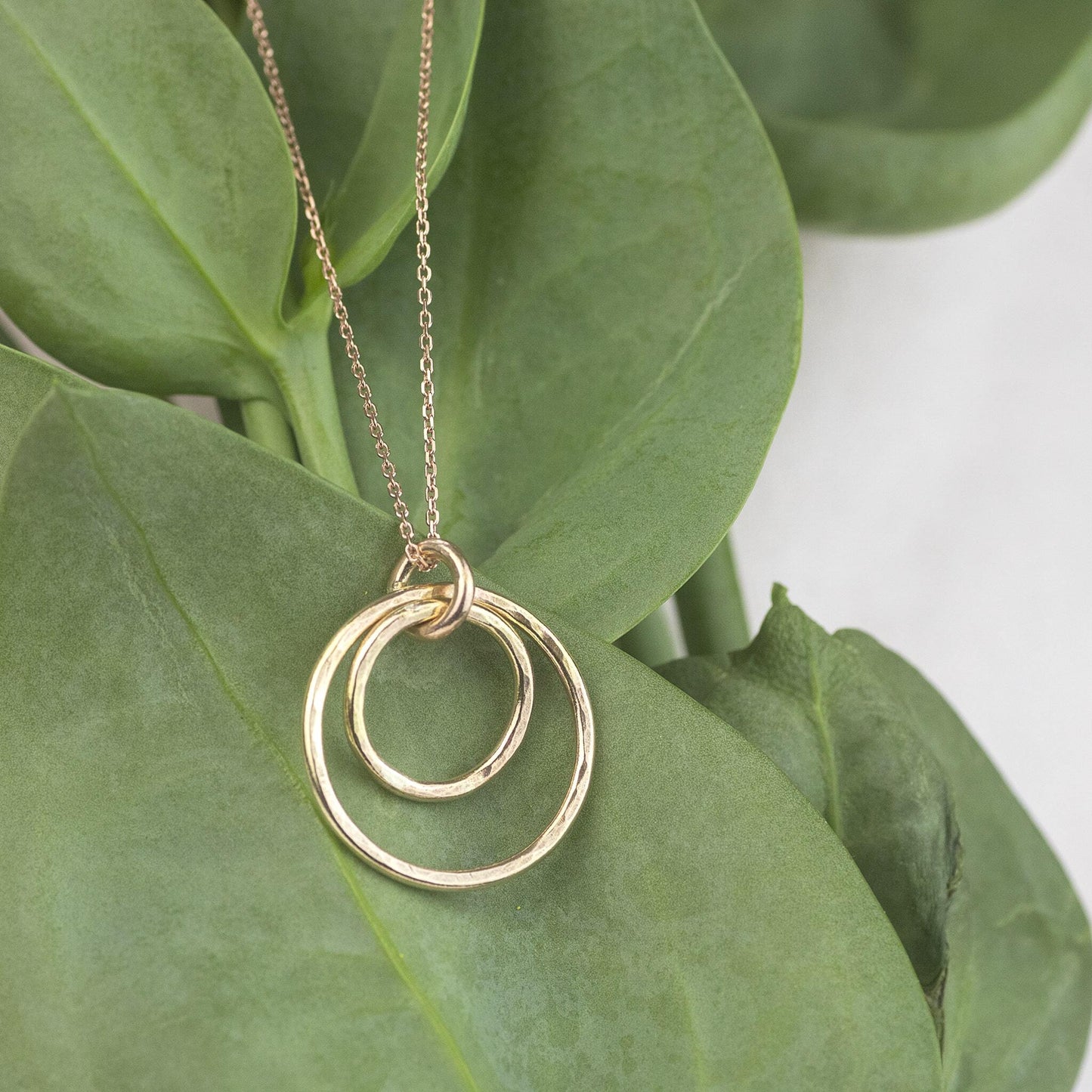 Double Circle Necklace for Loved One - Forever Encircled With Love - 9kt Gold